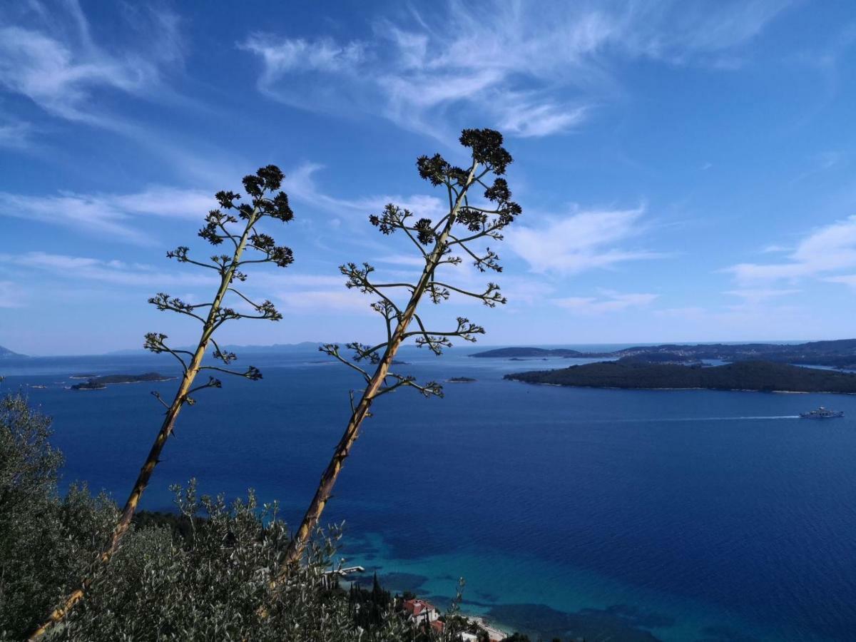 Sea And Pine Paradise Orebić Exterior foto